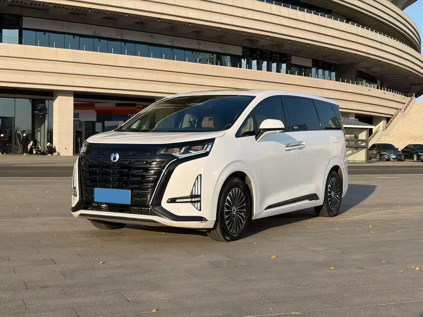 2022 DENZA D9 view 1