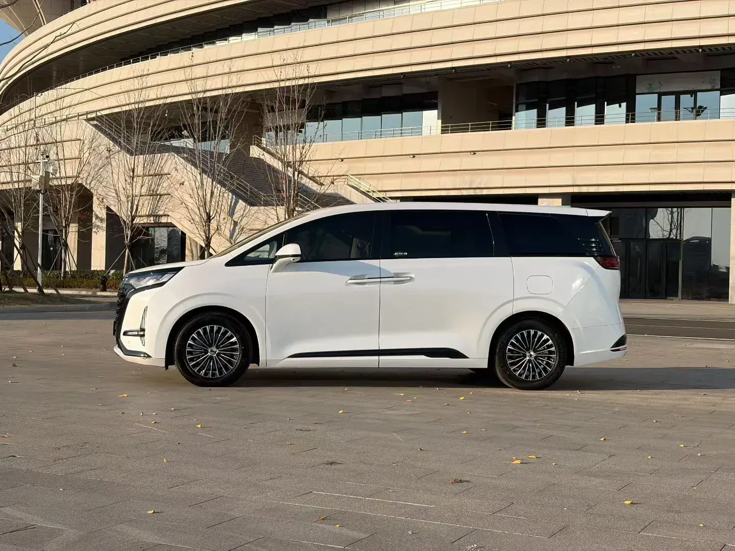 2022 DENZA D9 thumbnail 2