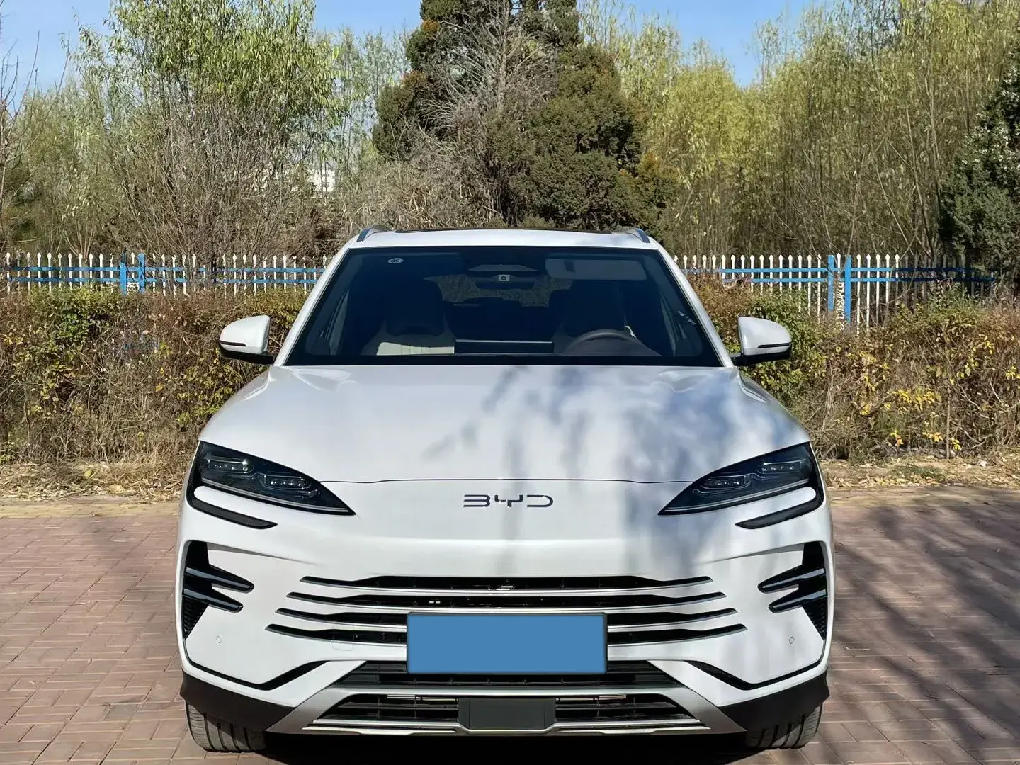 2025 BYD SONG thumbnail 2