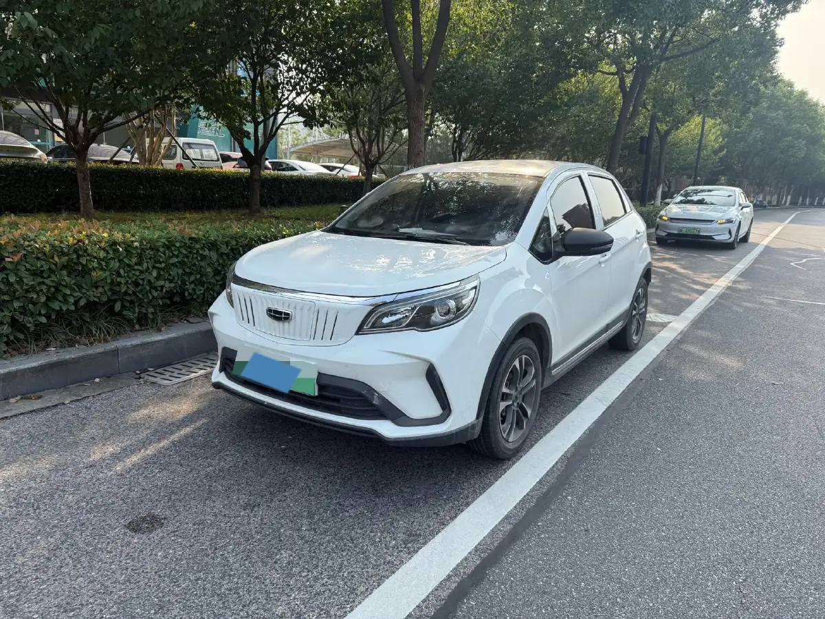 2021 Geometry EX3 BEV 37.23KWH