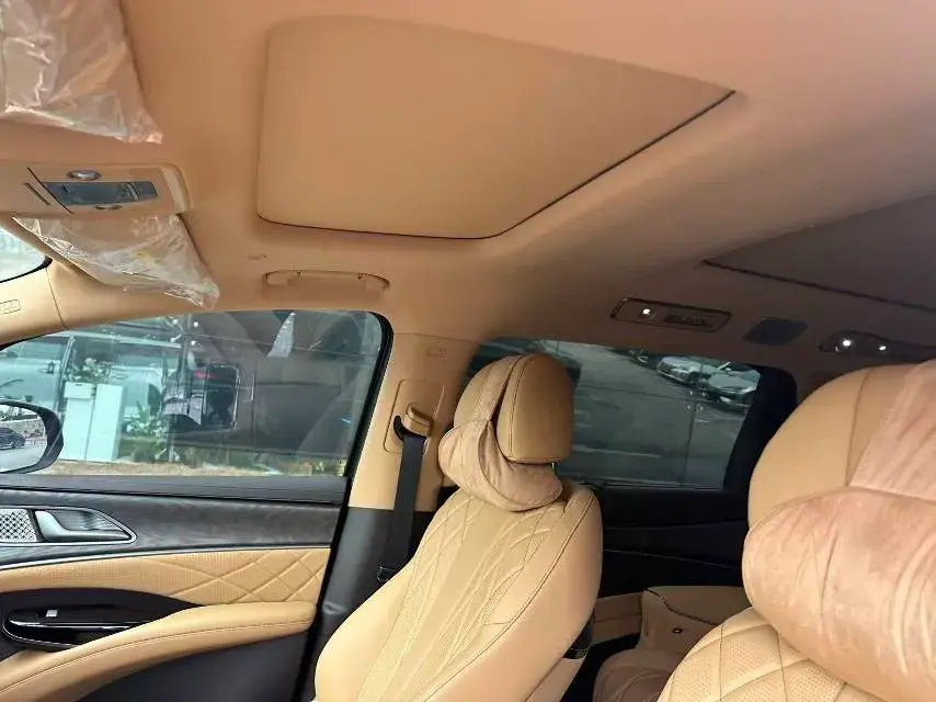 2025 DENZA D9 thumbnail 3