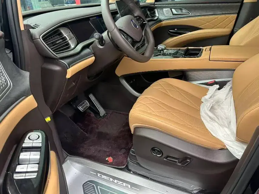 2025 DENZA D9 thumbnail 2