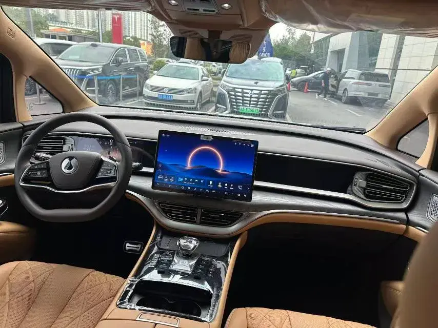 2025 DENZA D9 thumbnail 4