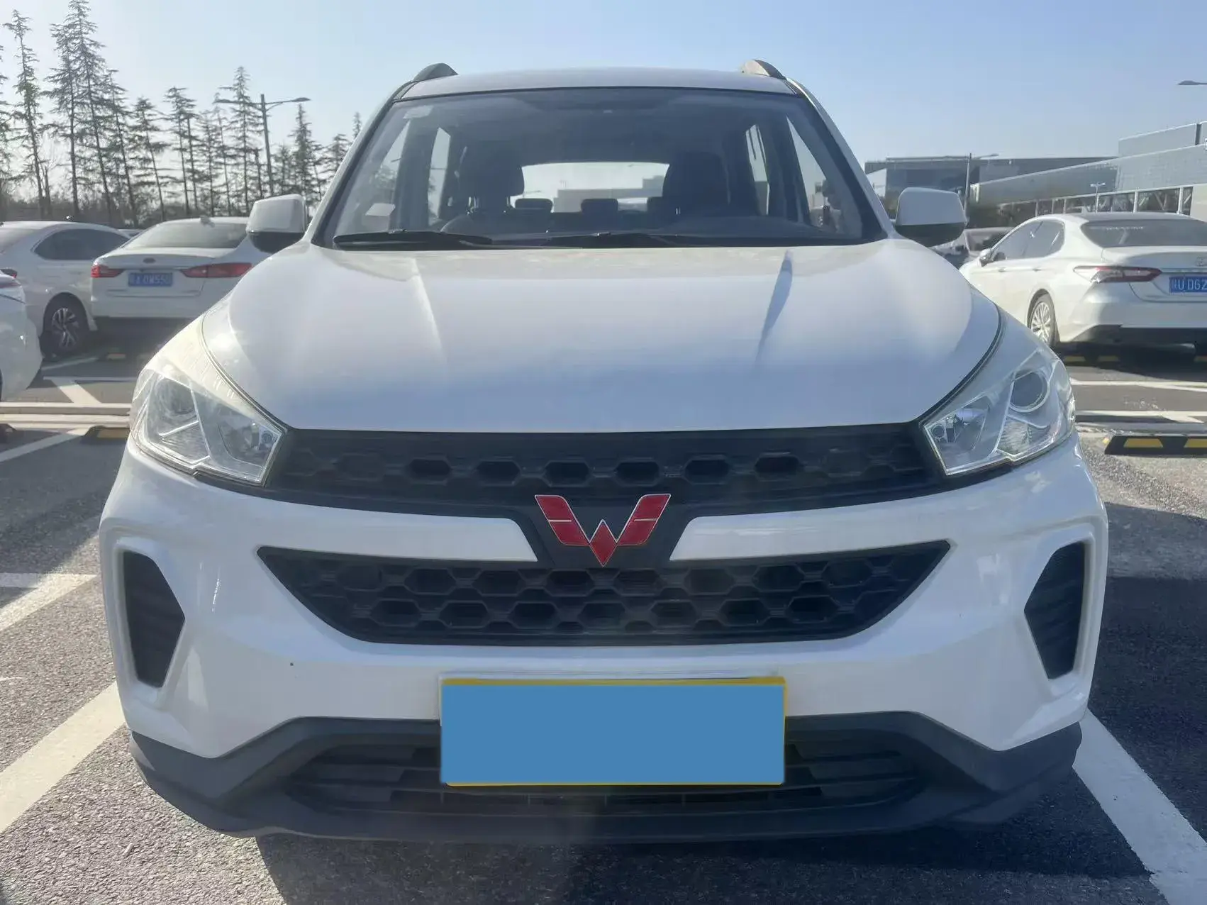 2019 WULING HONGGUANG thumbnail 2
