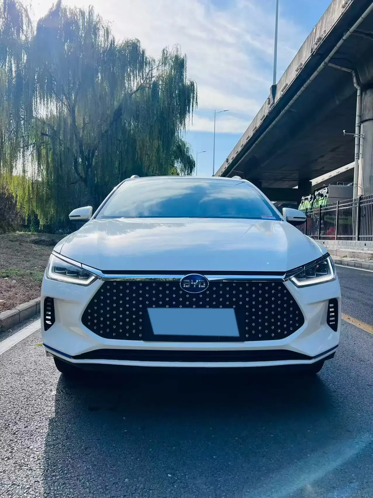 2019 BYD E2 thumbnail 2