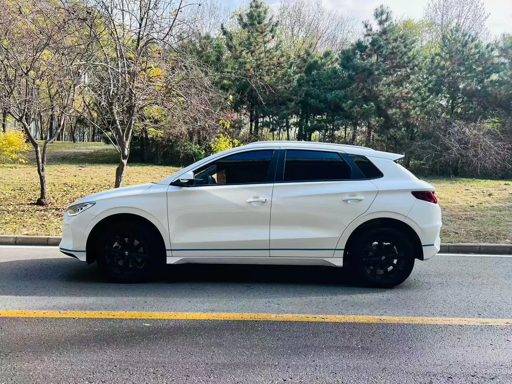 2019 BYD E2 thumbnail 4