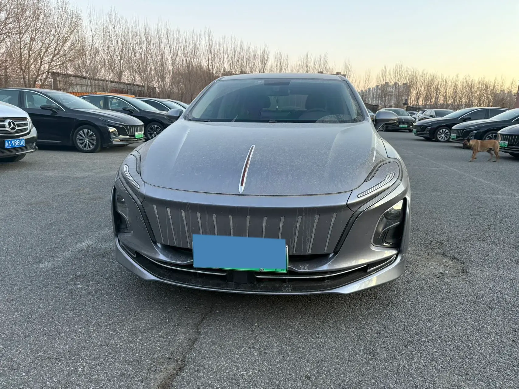 2023 HONGQI E-QM5 thumbnail 2