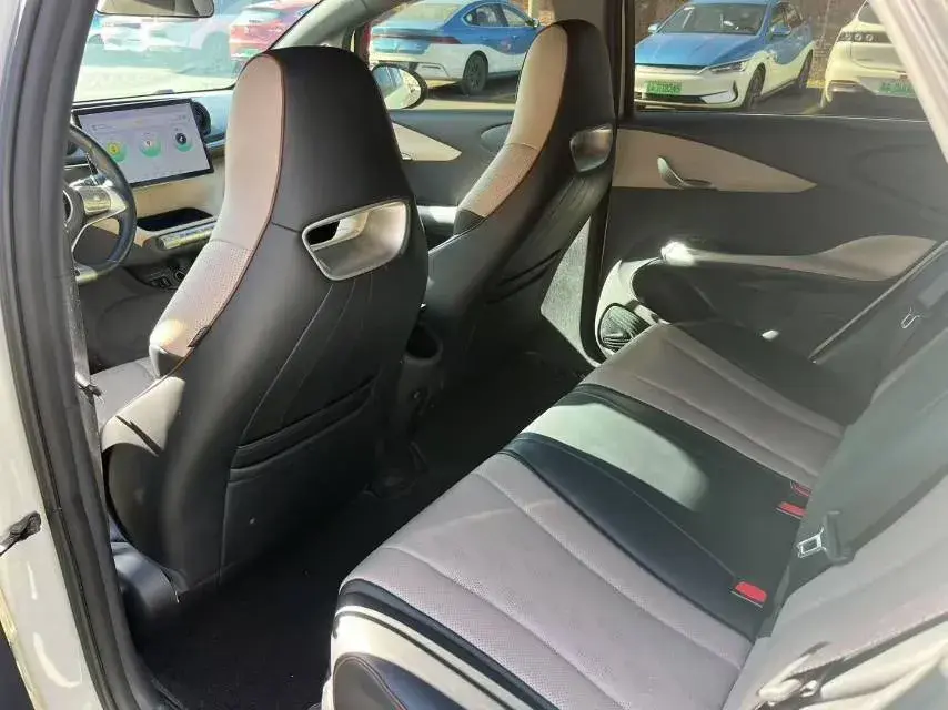 2023 BYD DOLPHIN thumbnail 4