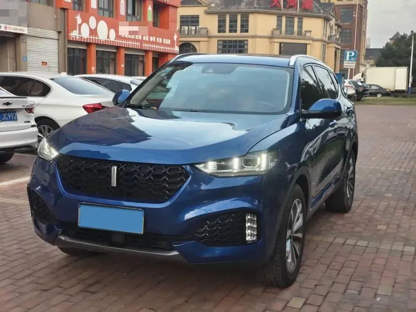 2018 WEY VV6 view 1