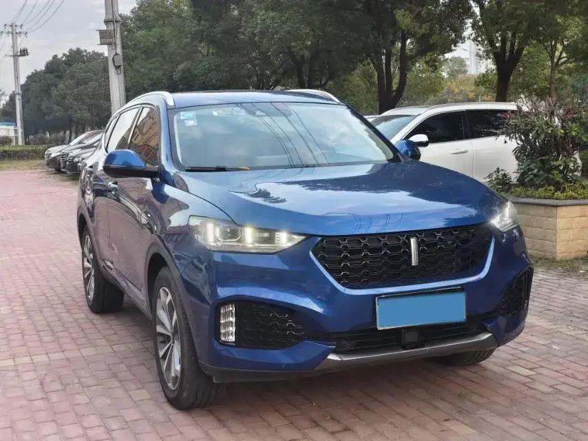 2018 WEY VV6 thumbnail 2