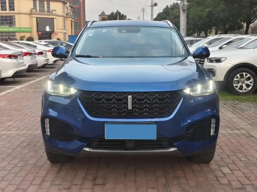 2018 WEY VV6 thumbnail 3