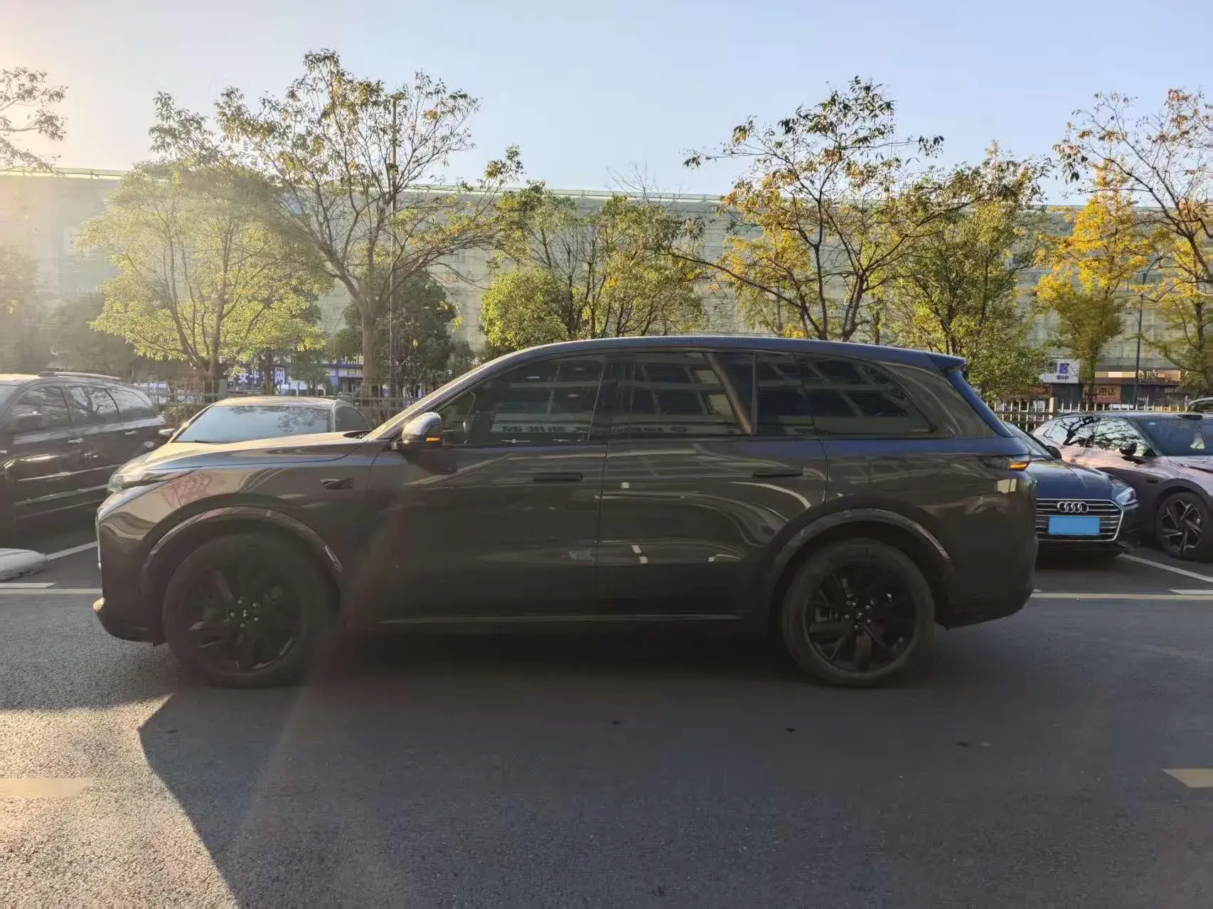 2023 LI L8 thumbnail 3