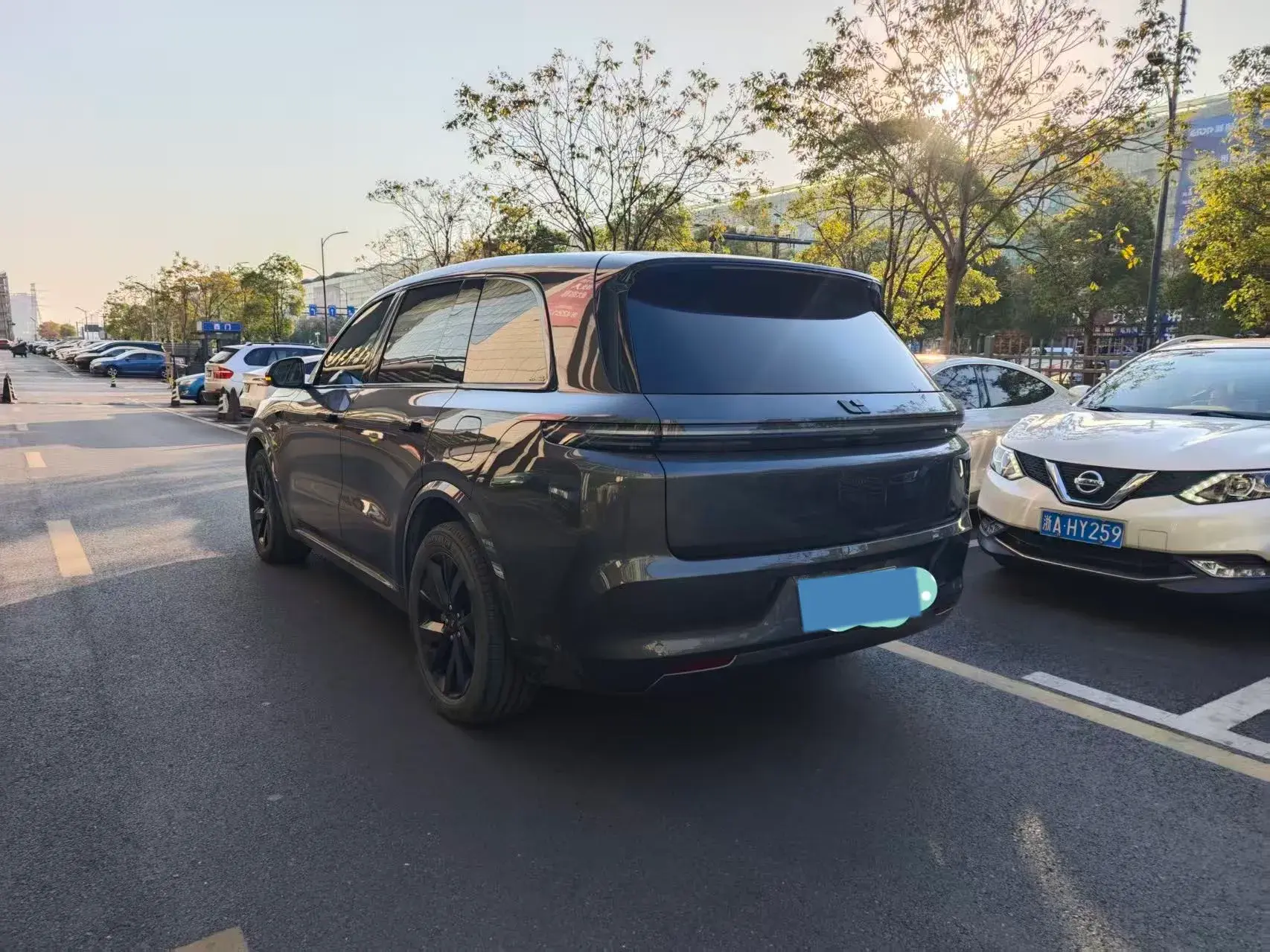 2023 LI L8 thumbnail 4