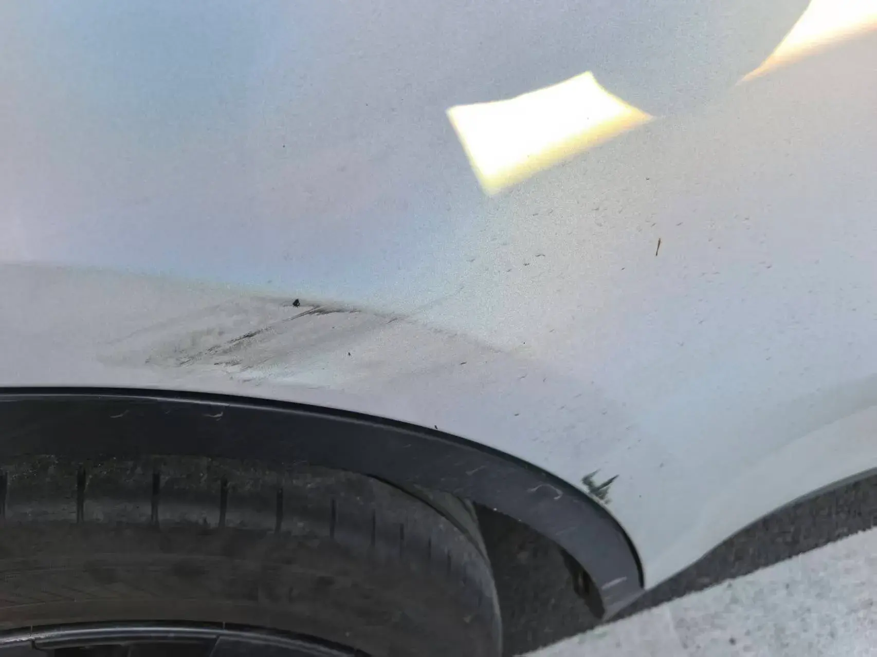 2023 TESLA MODEL thumbnail 2