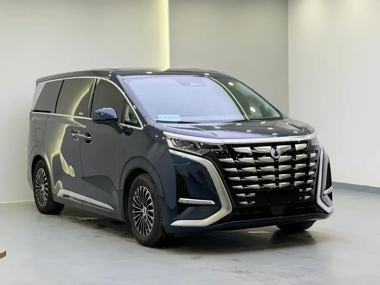 2022 DENZA D9 thumbnail 3