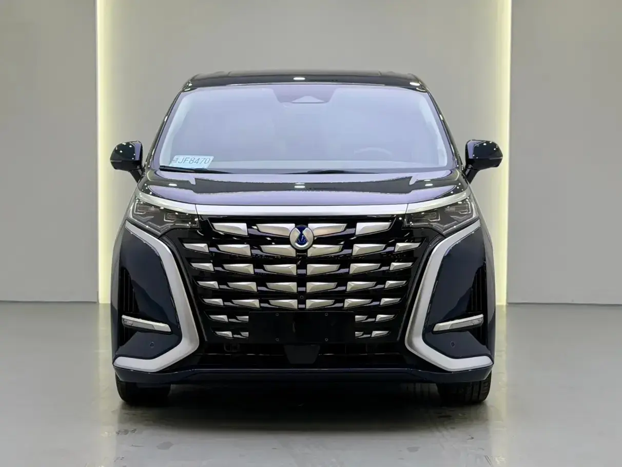 2022 DENZA D9 thumbnail 2