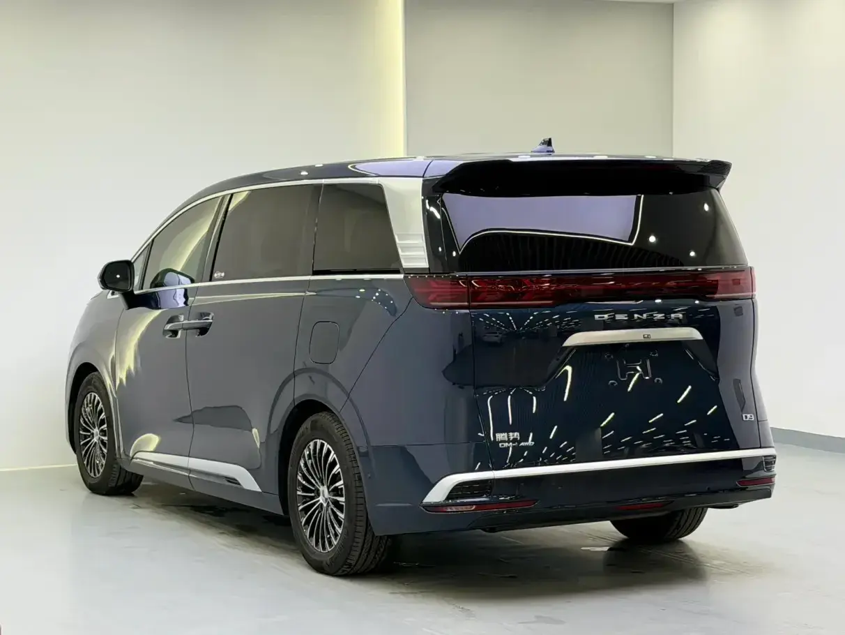 2022 DENZA D9 thumbnail 4