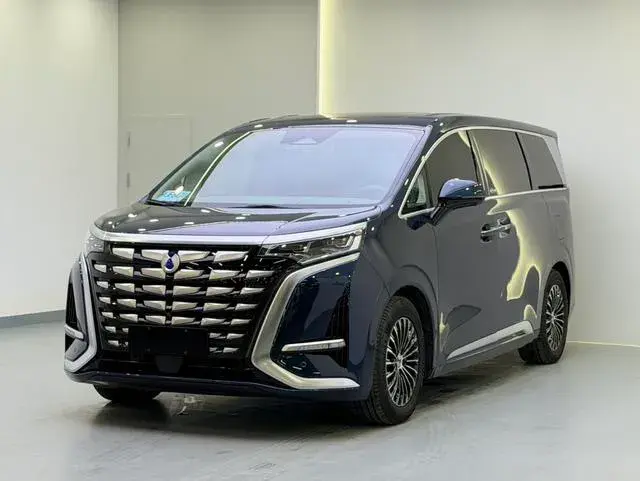 2022 DENZA D9 view 1