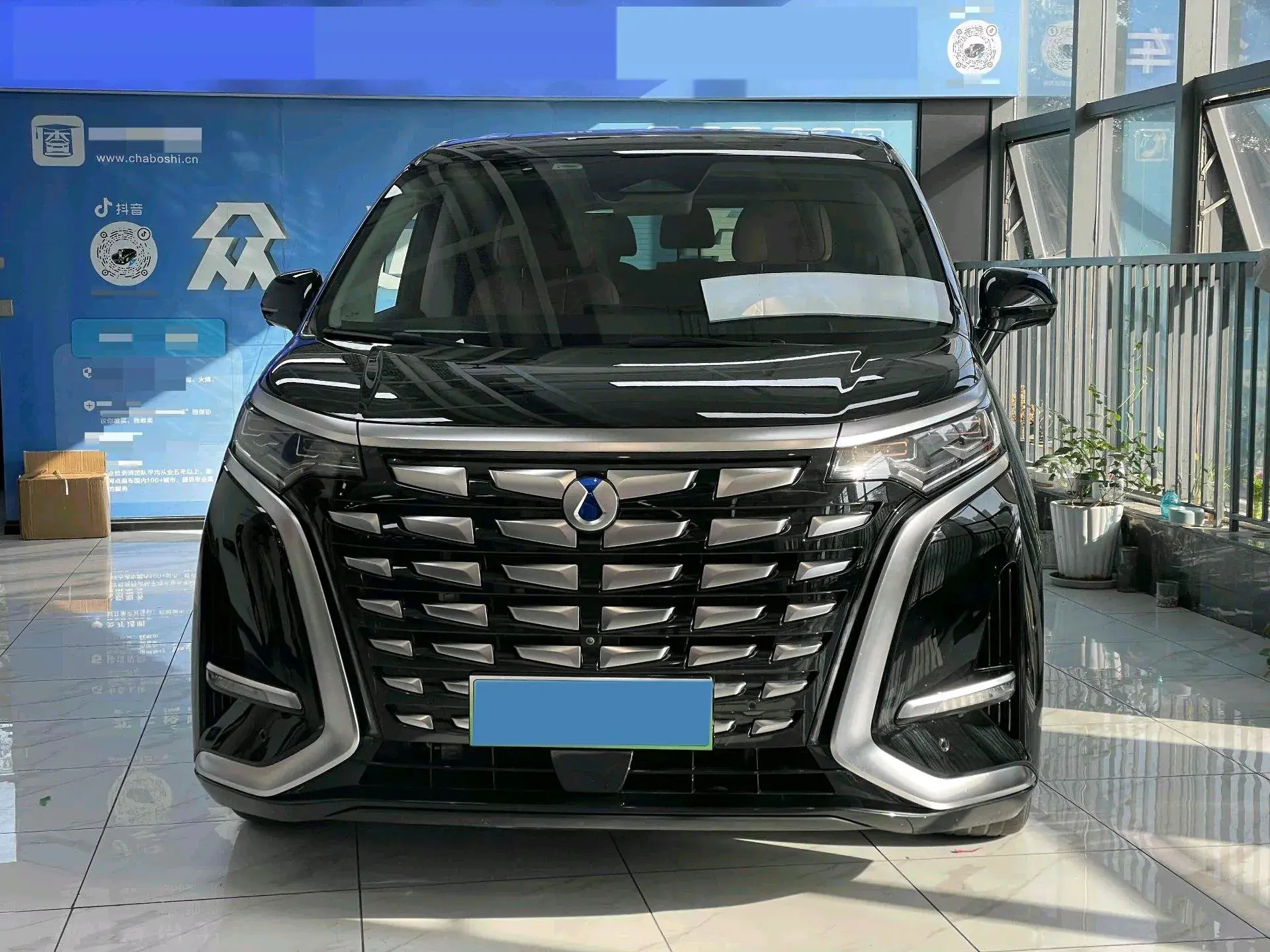 2024 DENZA D9 thumbnail 3