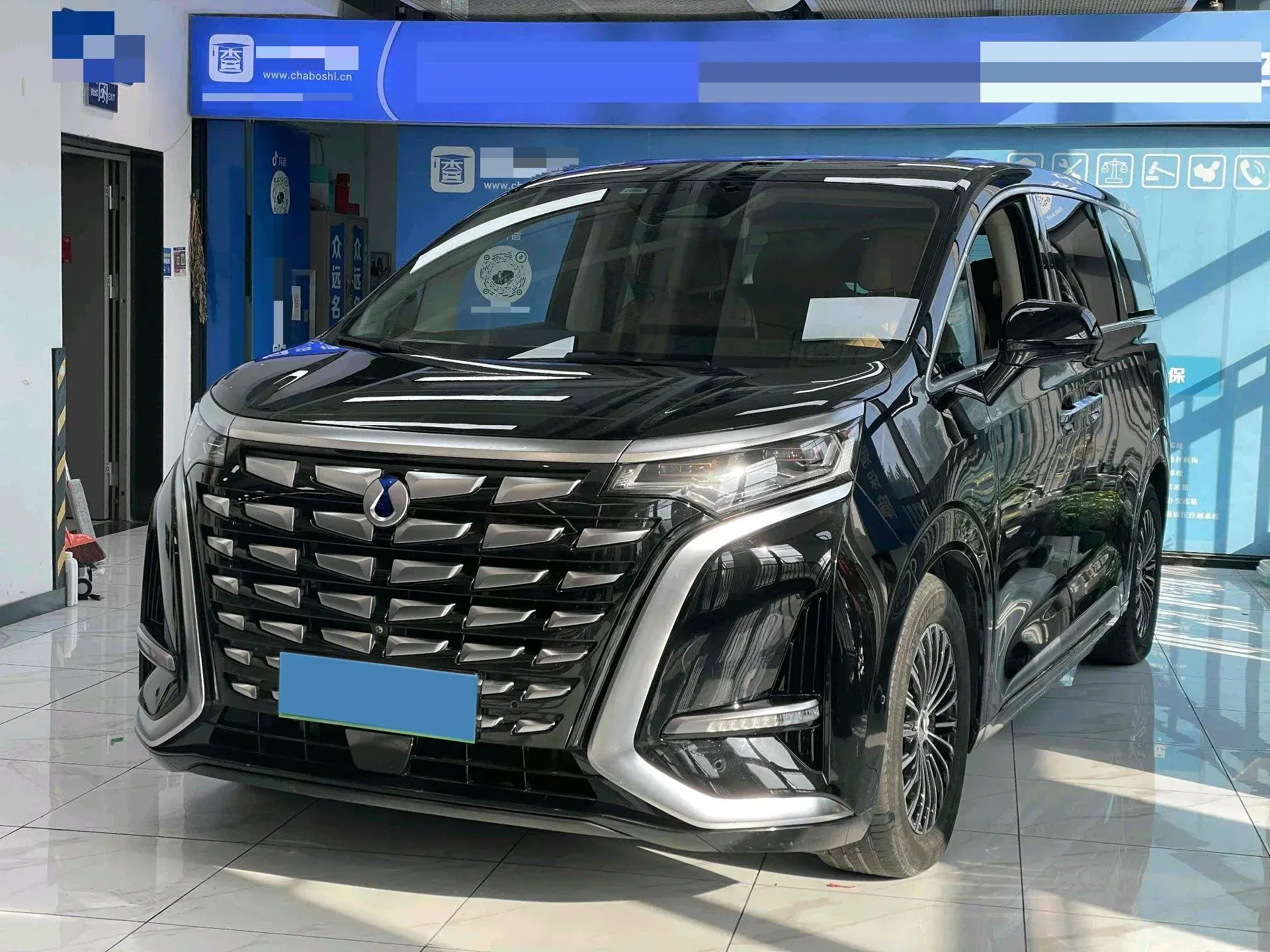 2024 DENZA D9 view 1