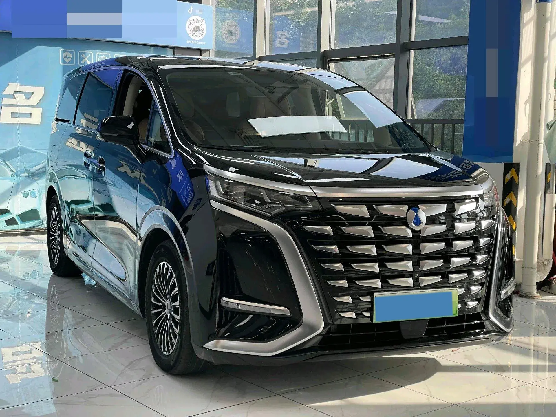 2024 DENZA D9 thumbnail 2