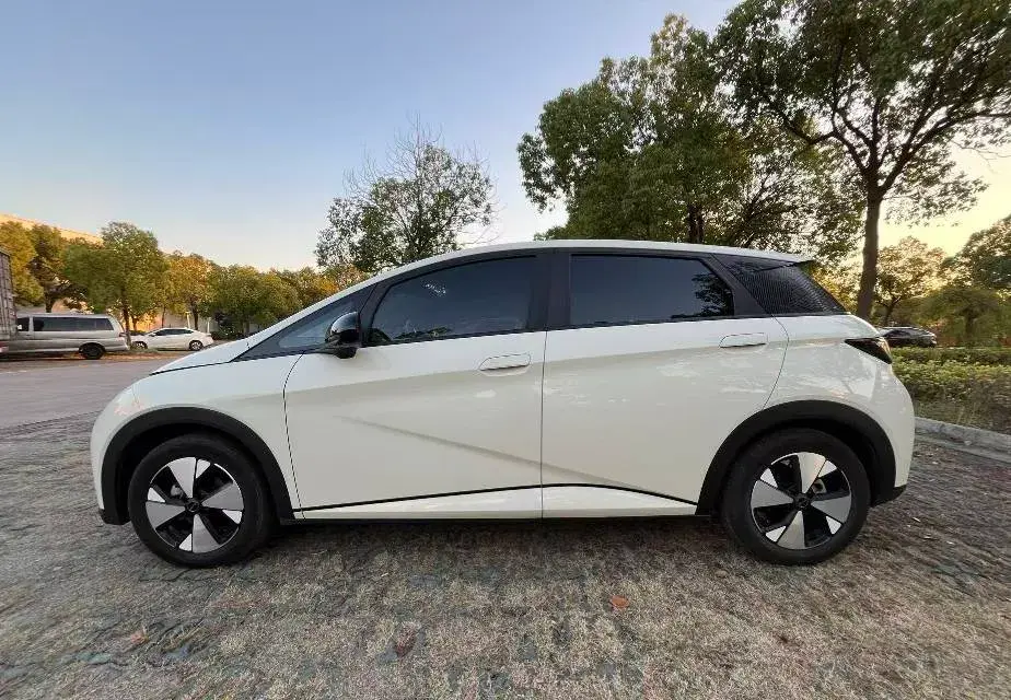 2023 BYD DOLPHIN thumbnail 2