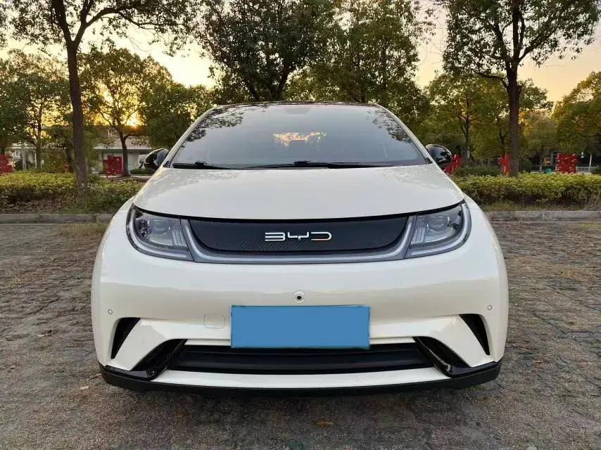 2023 BYD DOLPHIN thumbnail 4