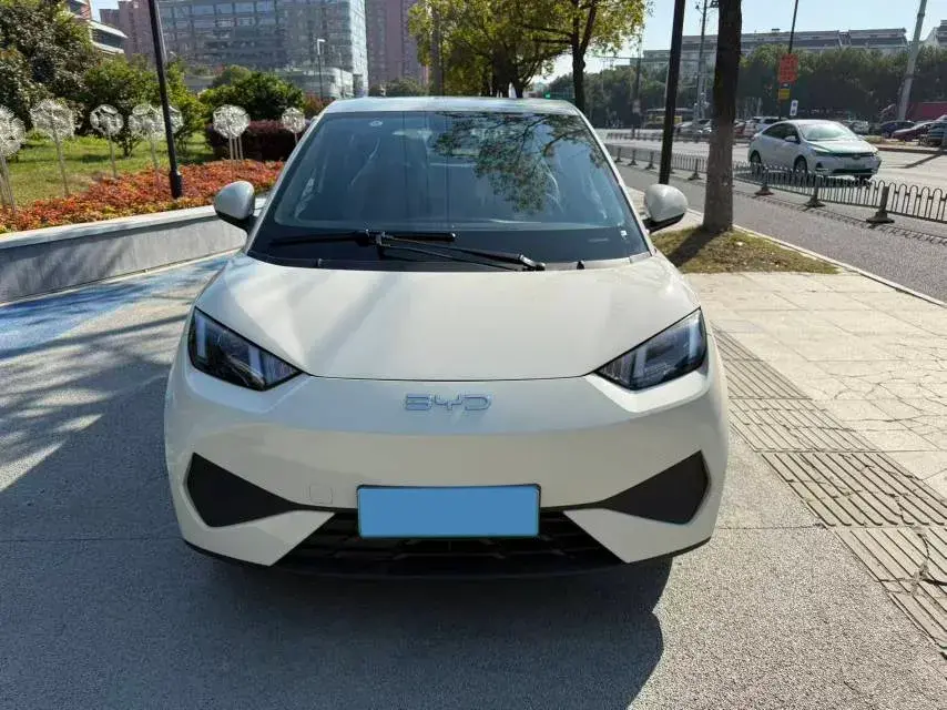 2025 BYD SEAGULL thumbnail 2