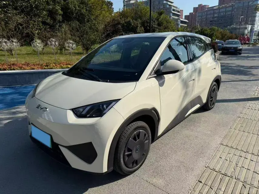 2025 BYD SEAGULL view 1