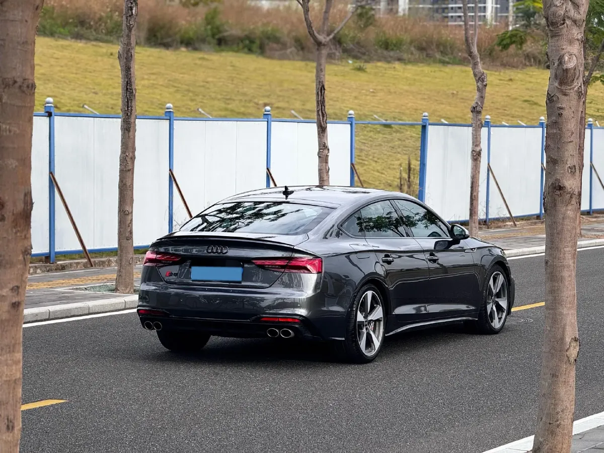 2020 Audi S5 3.0T 354HP V6 8AT,autocango,china used car exporter,china ev exporter,chinese used car exporter,chinese used ev exporter