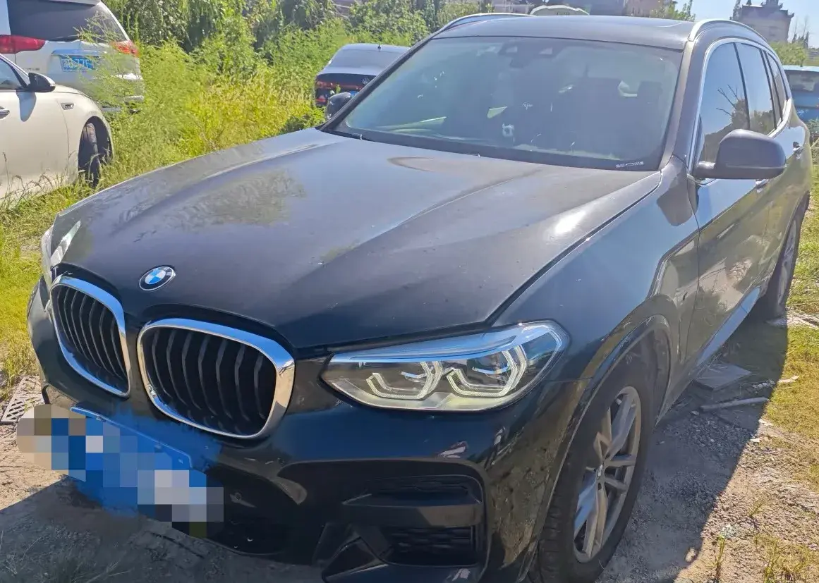 2021 BMW X3 view 1