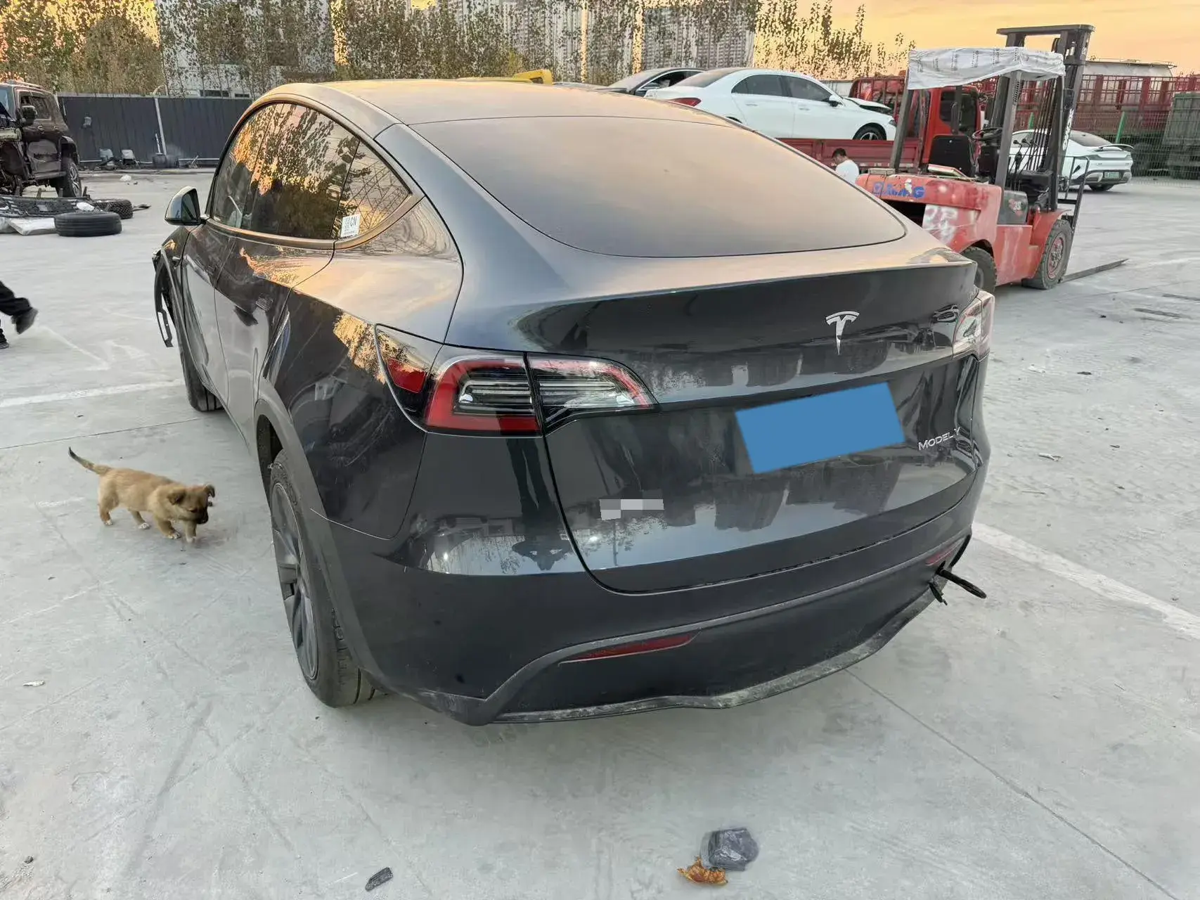 2023 TESLA MODEL thumbnail 3