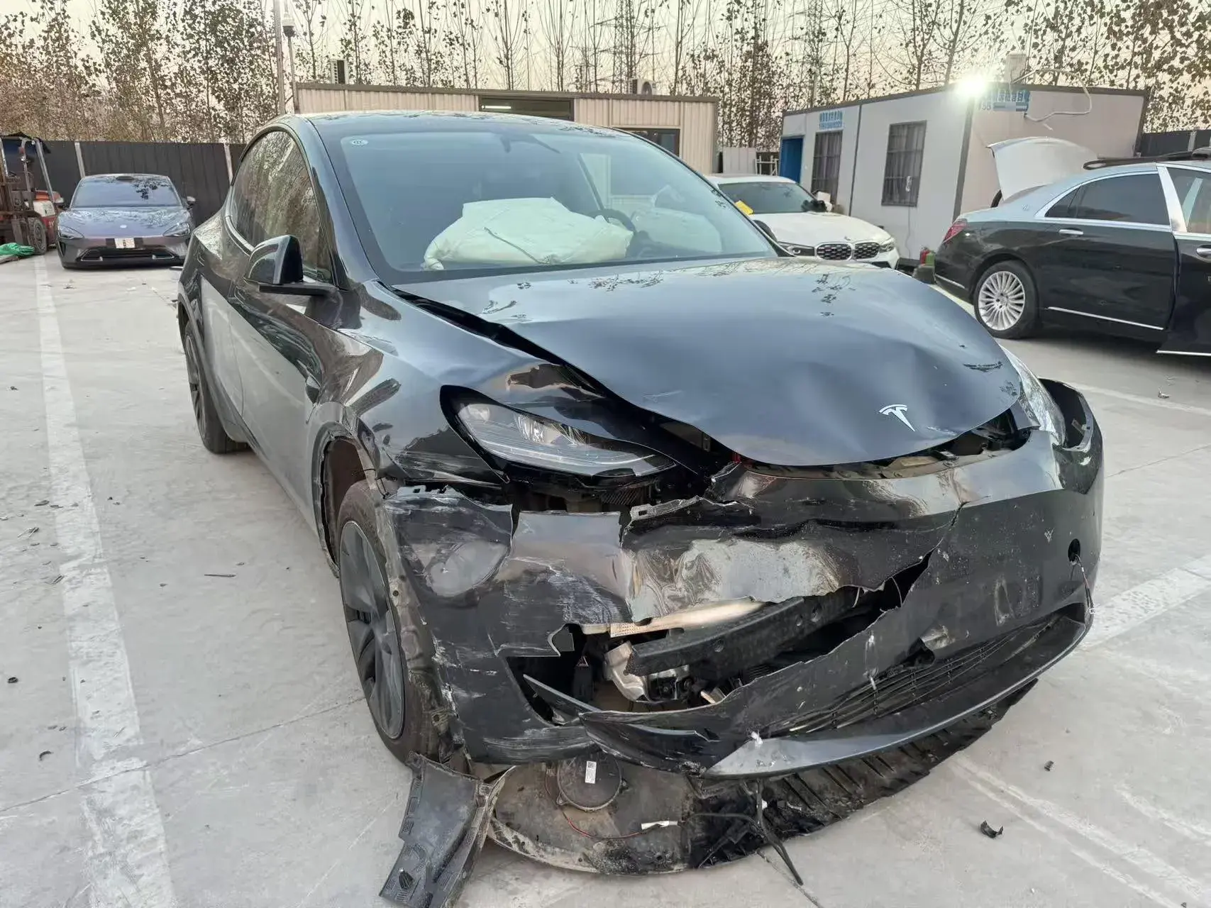 2023 TESLA MODEL thumbnail 2