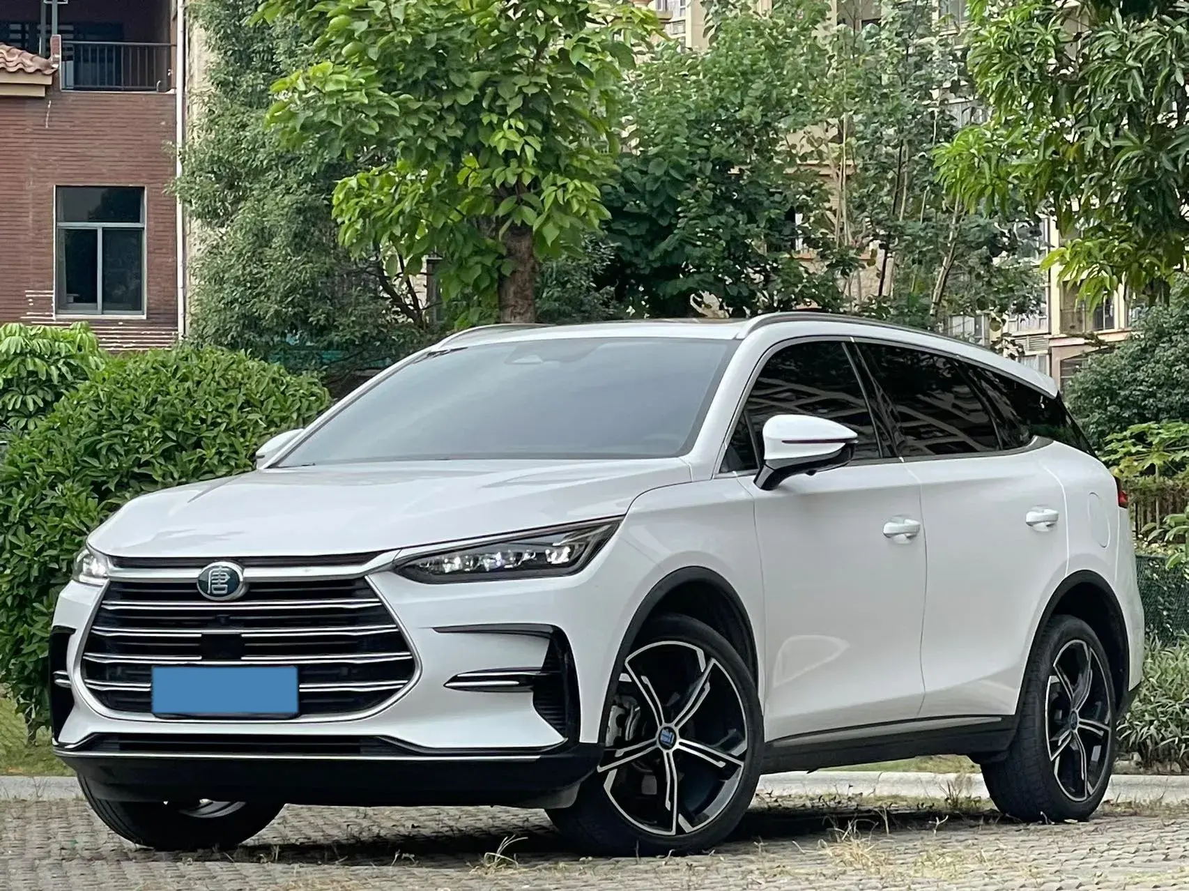 2021 BYD TANG view 1
