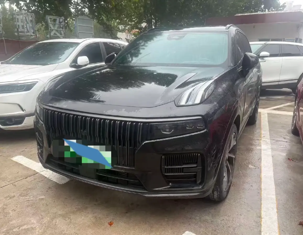 2021 LYNK&CO 09 EM-P 2.0T 254HP L4 8AT PHEV 18.83KWH