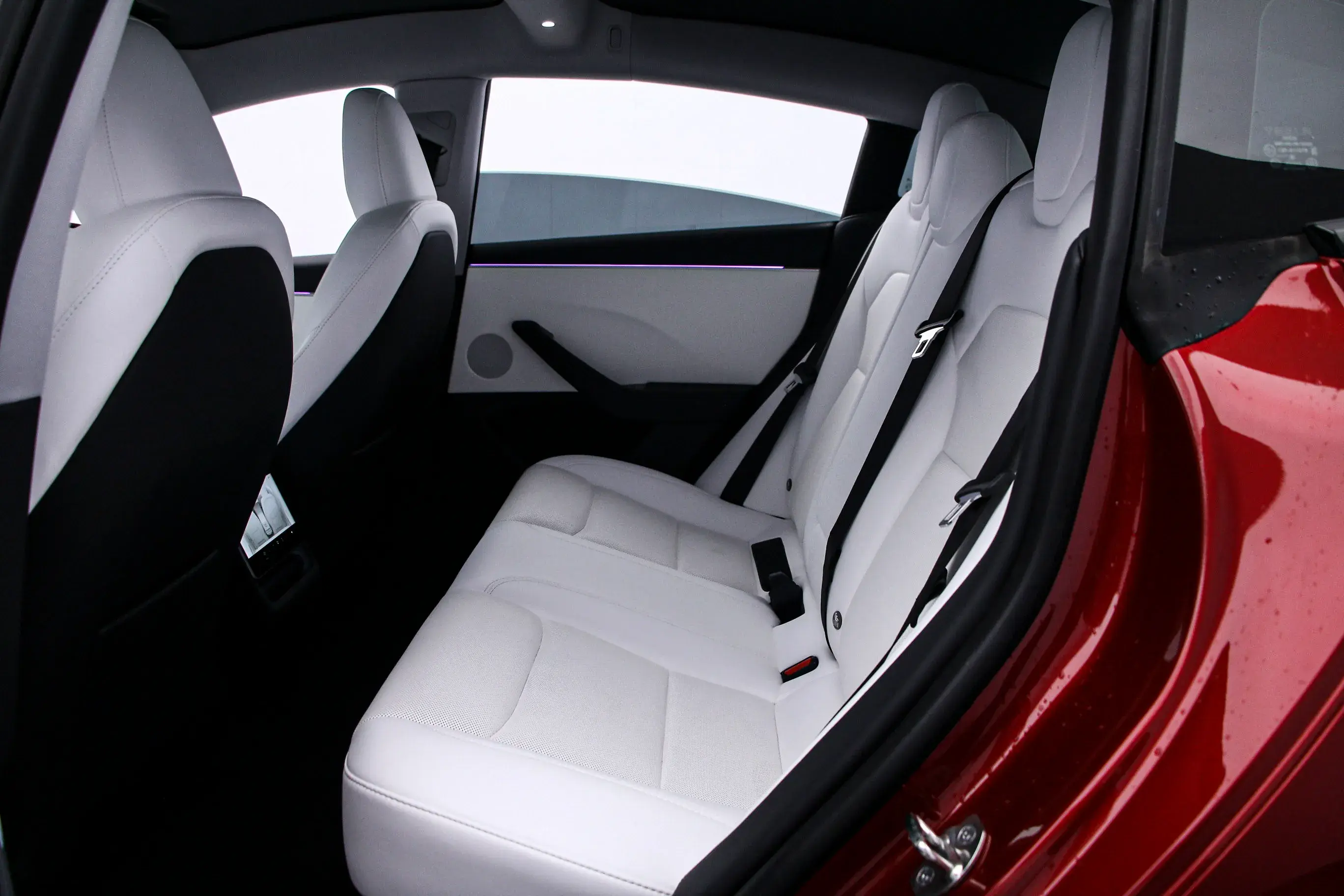 2023 TESLA MODEL thumbnail 3