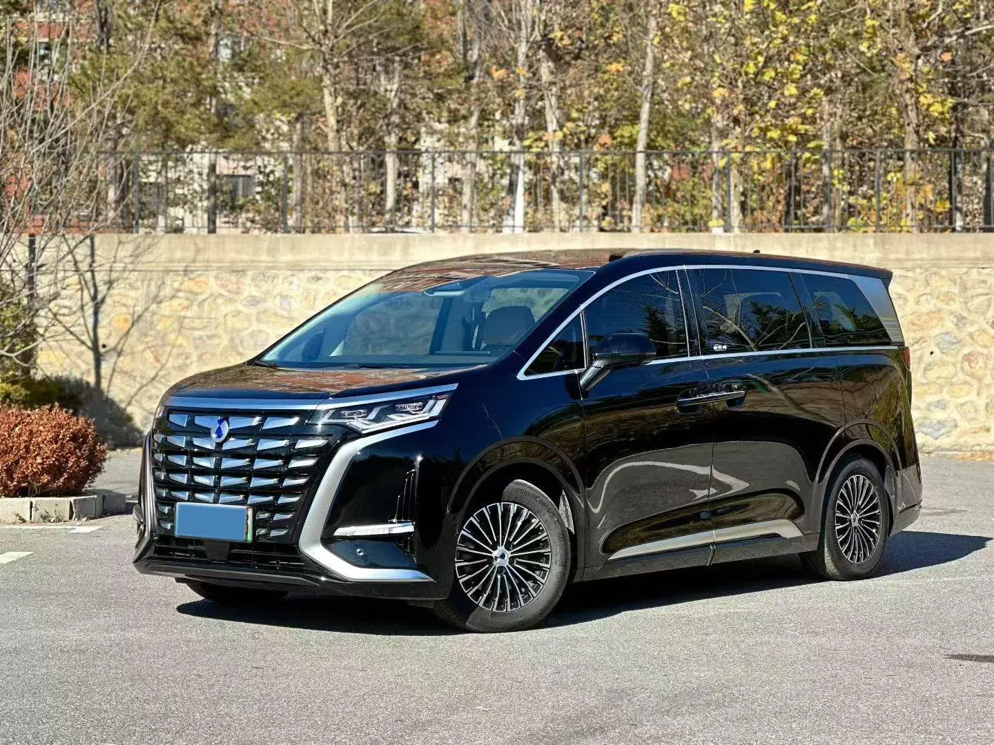 2024 DENZA D9 view 1