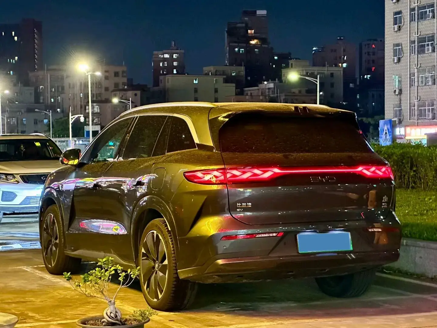 2025 BYD TANGL thumbnail 2