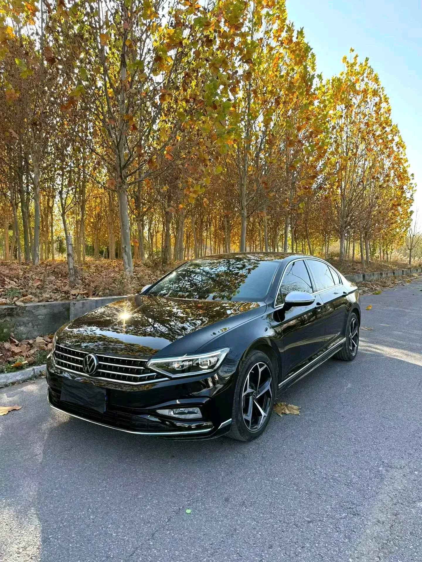 2025 VOLKSWAGEN MAGOTAN view 1