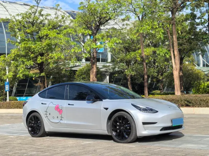 2020 TESLA MODEL thumbnail 3