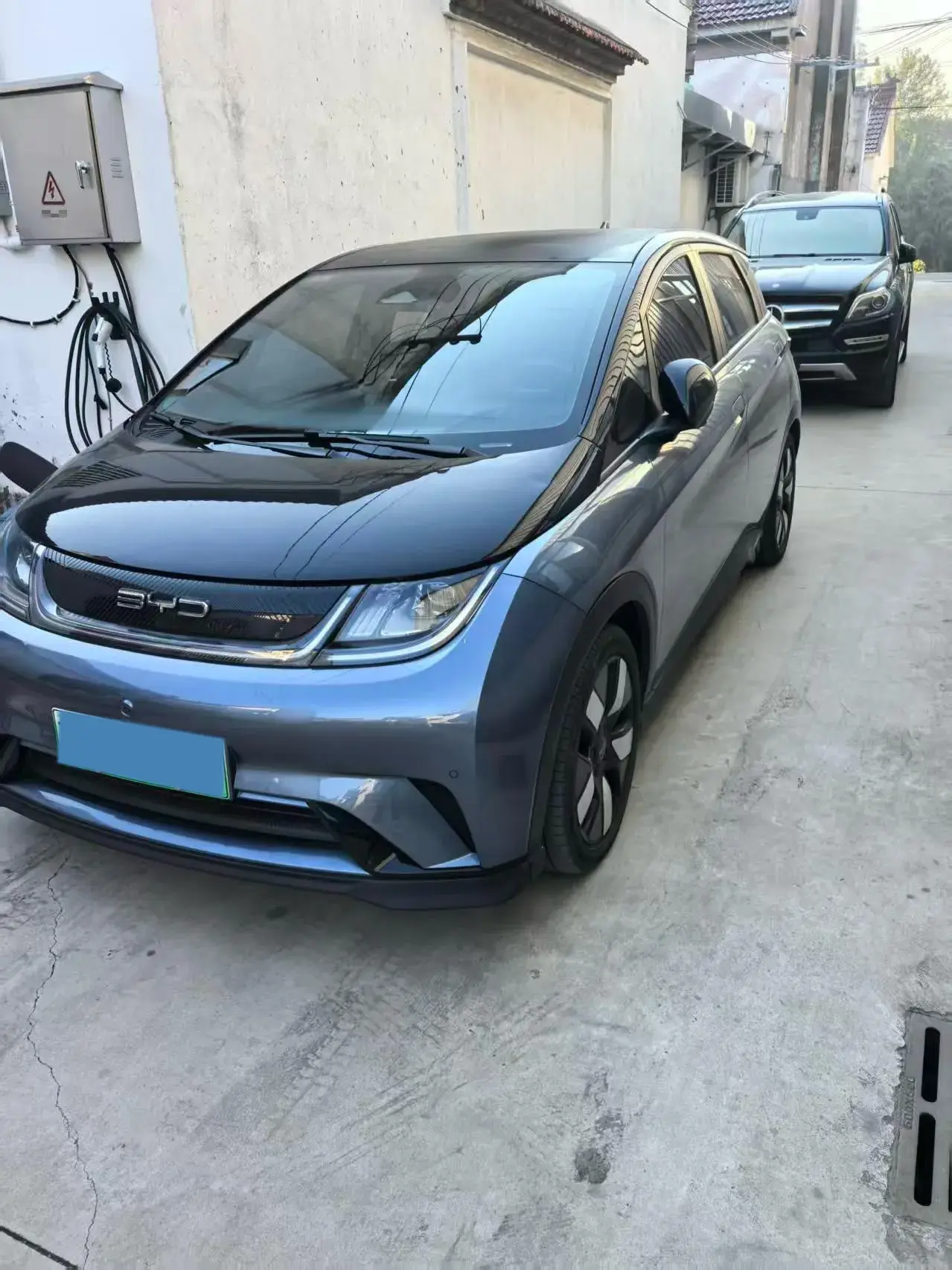 2023 BYD DOLPHIN view 1