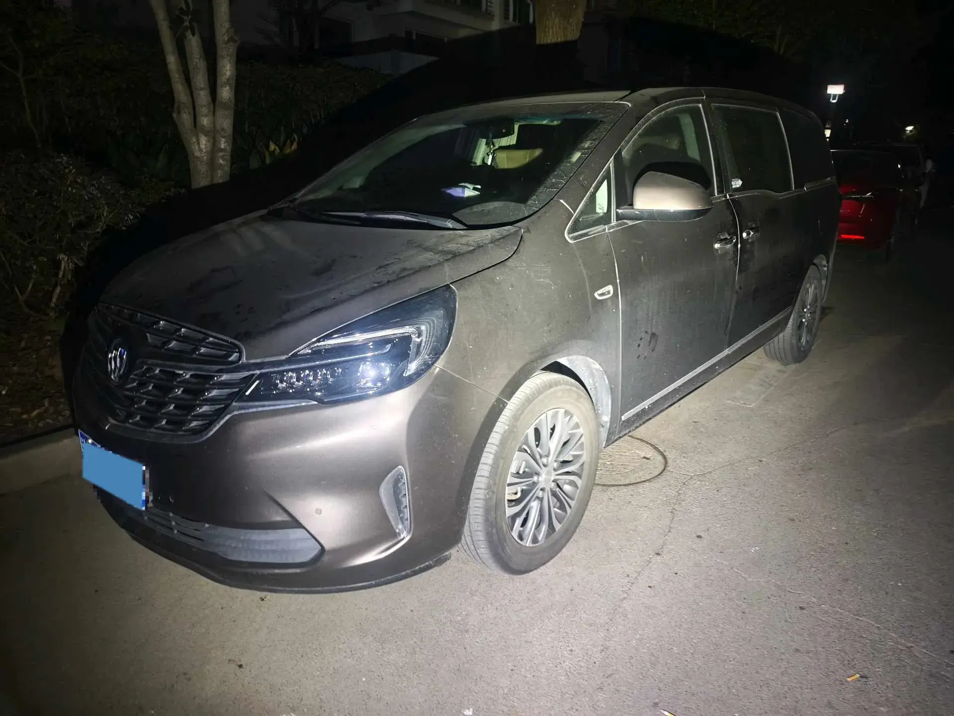 2021 BUICK GL8 view 1