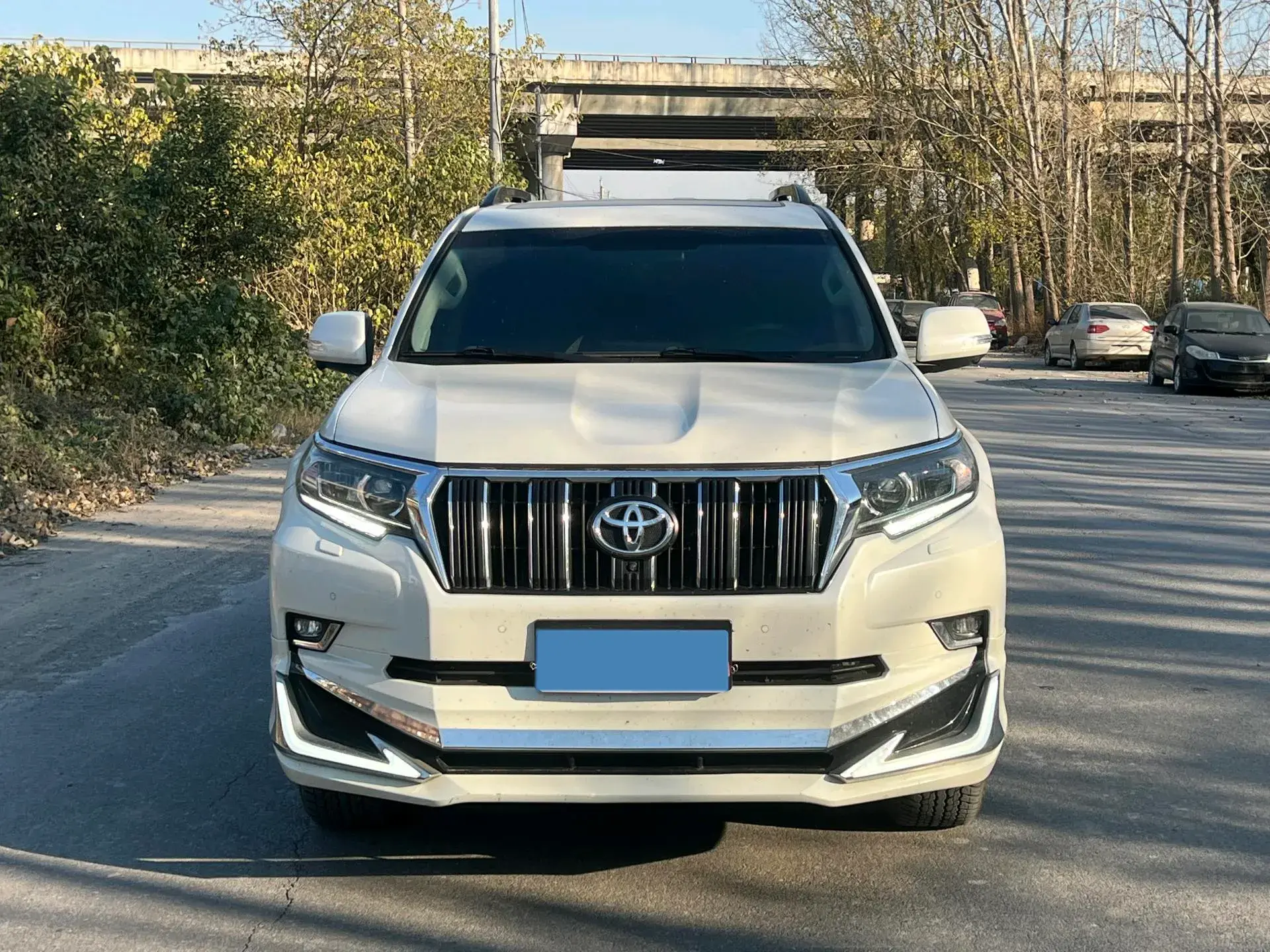 2019 TOYOTA LAND thumbnail 2