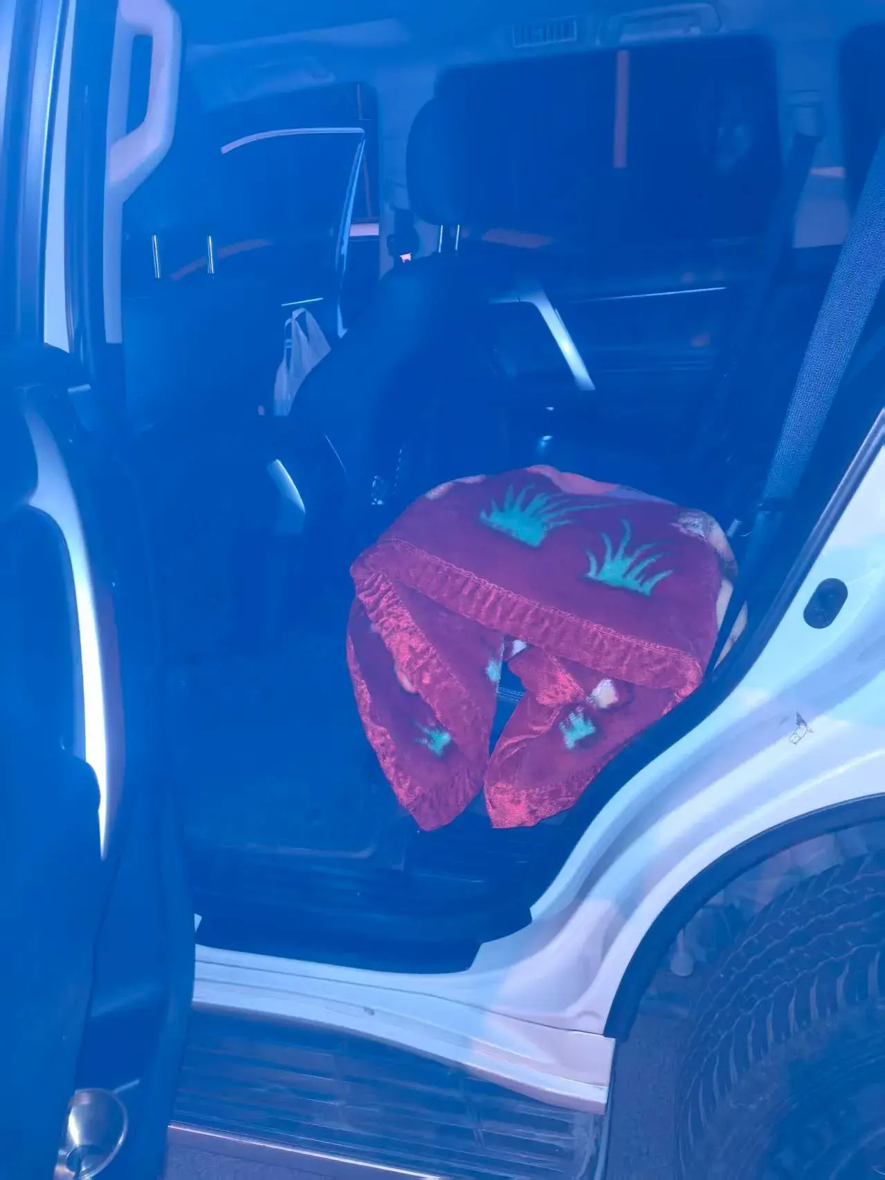 2019 TOYOTA LAND thumbnail 4