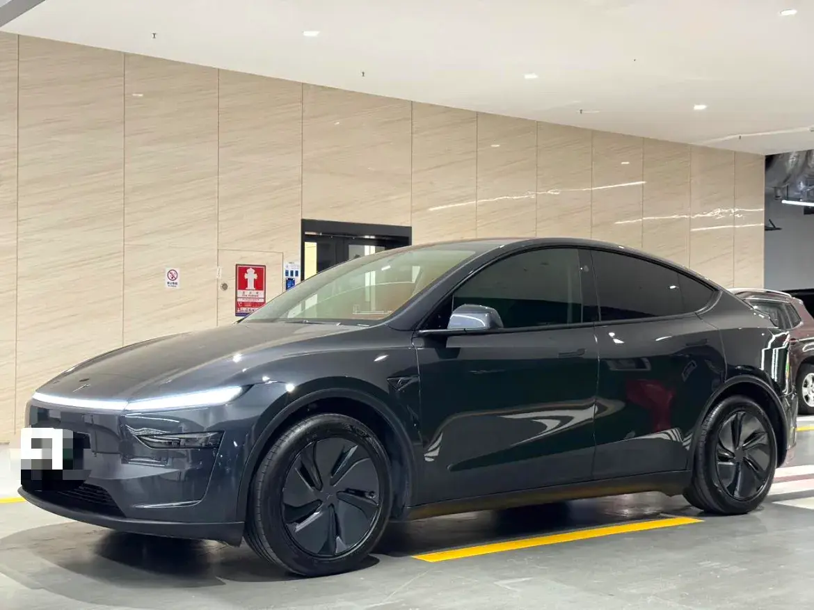 2025 TESLA MODEL view 1