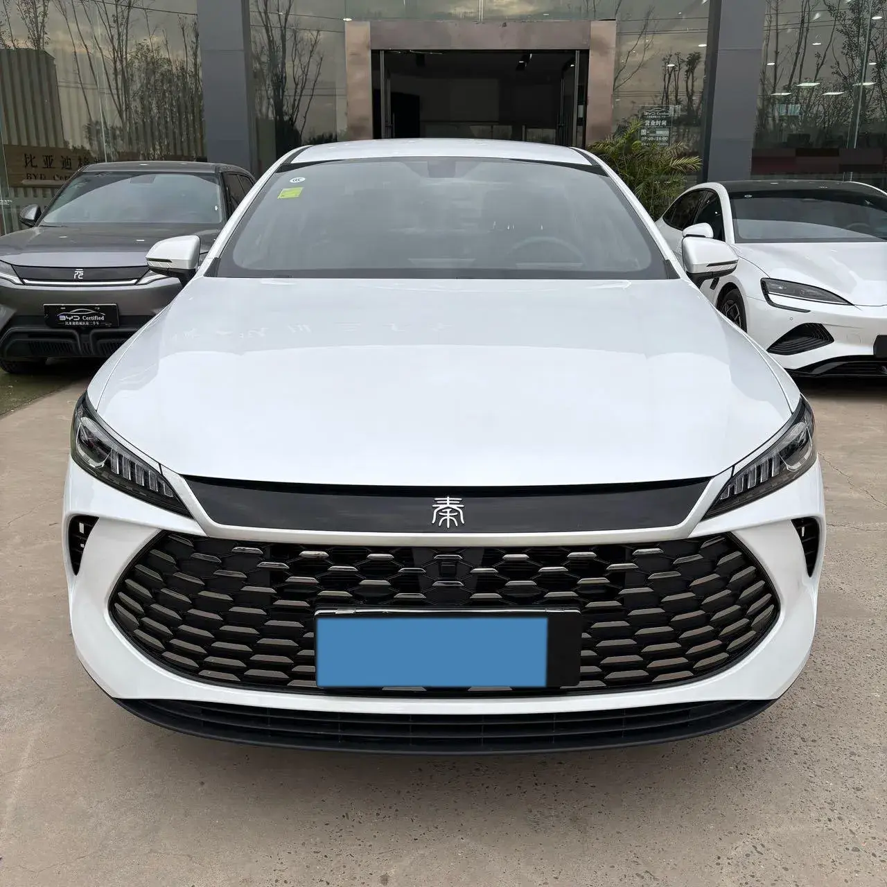 2025 BYD QIN thumbnail 2