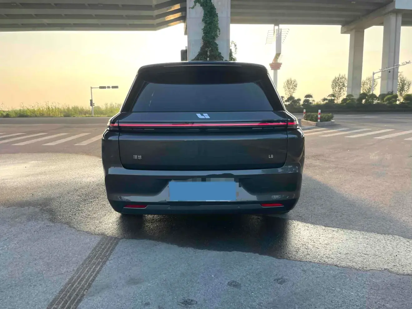 2023 LI L8 thumbnail 3