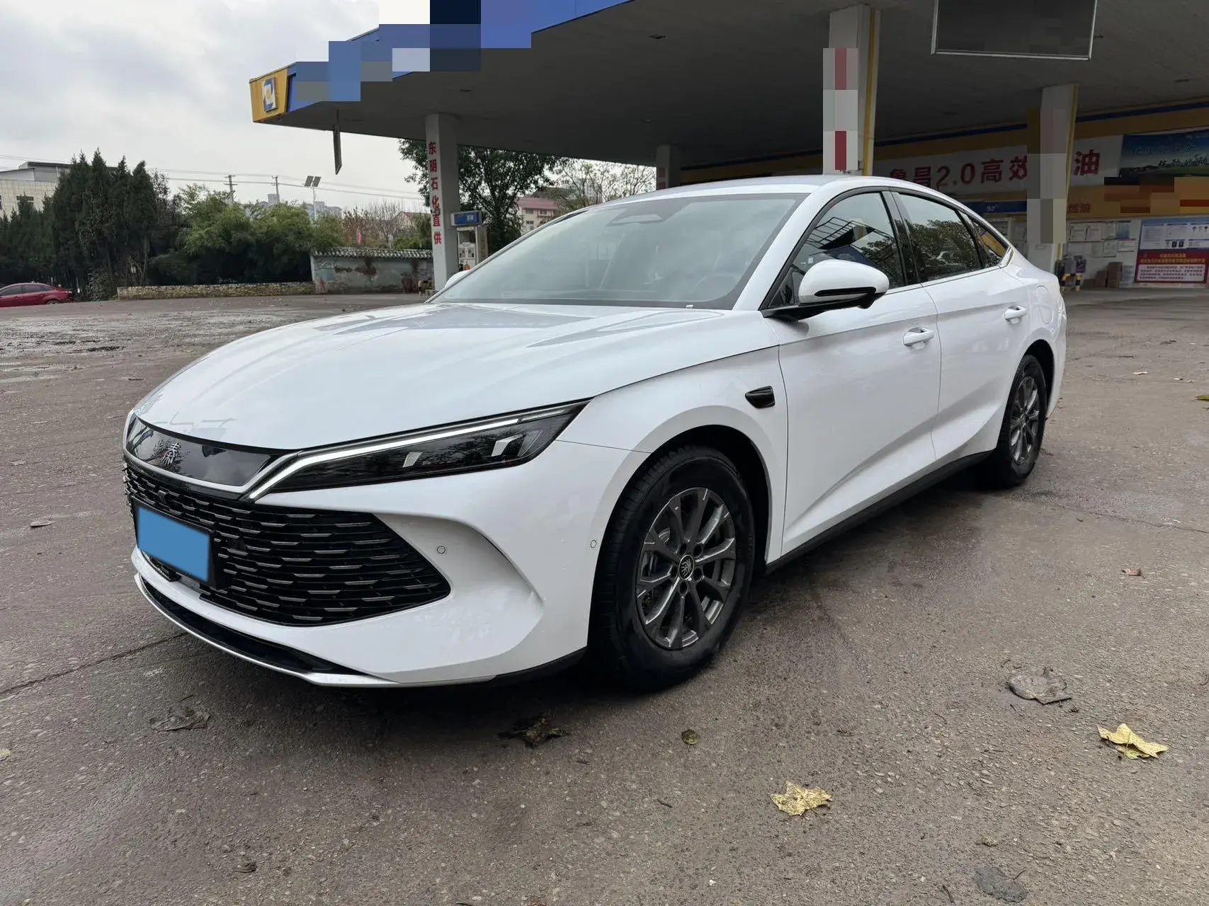 2025 BYD QINL view 1