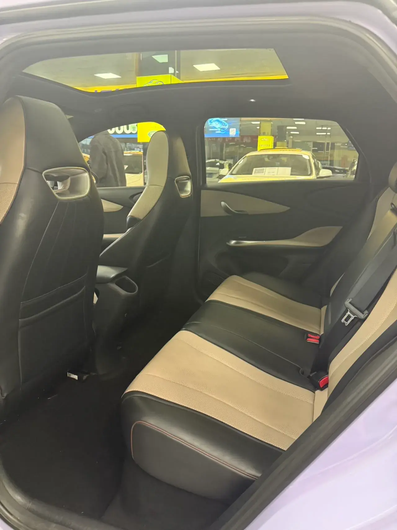 2023 BYD DOLPHIN thumbnail 4