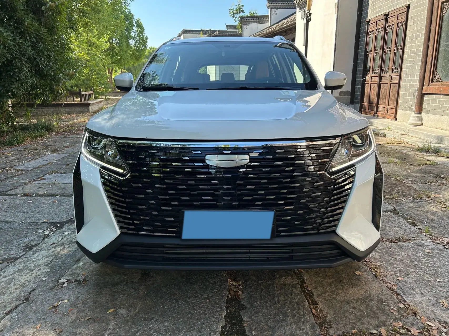 2024 GEELY OKAVANGOPRO thumbnail 2